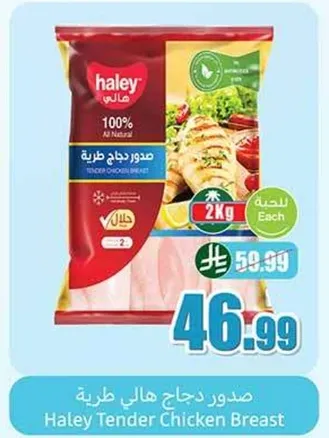 صدور دجاج هالي طري