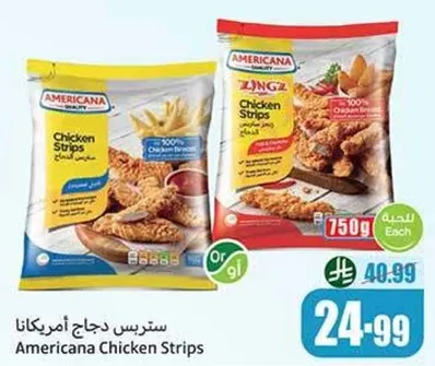 ستريس دجاج امريكانا