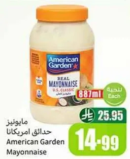 مايونيز حدايق امريكانا