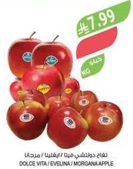 تفاح دولشتي فيتا / ايفلينا / مورغانا