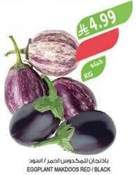 باذنجان للمكدوس احمر / اسود