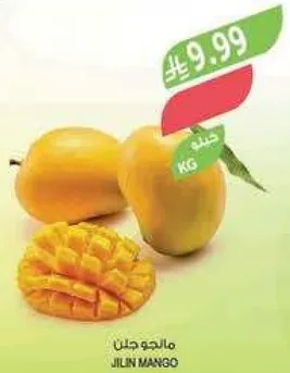 Jilin Mango
