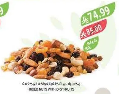 Mixed nuts with dry fruits