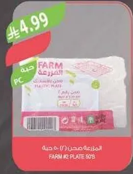 فام M2 صحن 60 حبه