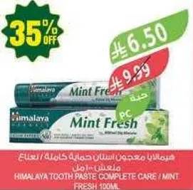 هيمالايا معجون اسنان حمايه كامله / نعناع 100 مل