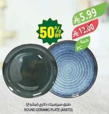 طبق سيراميك دايري (متنوع)