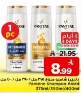 شامبو بانتين assorted 375 مل / 390 مل / 400 مل