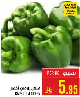 فلفل رومي اخضر