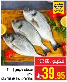 سمك دنيس (200/300)