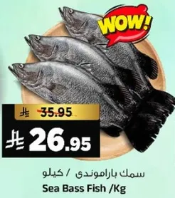 سمك باراموندي /كيلو