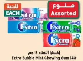 Extra Bubble Mint Chewing Gum 14g