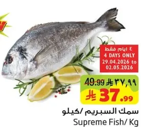 Supreme Fish / Kg
