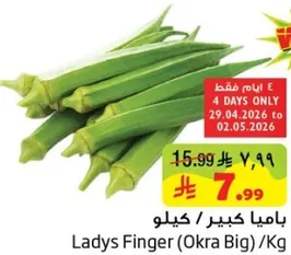 Ladies Finger (Okra Big) / Kg