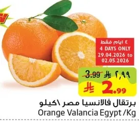 برتقال فالنسيا مصر اكيلو