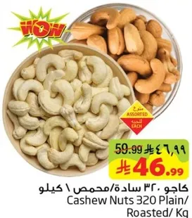 Cashew Nuts 320 Plain/Roasted per Kg
