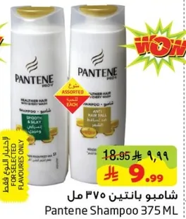 شامبو بانتين 375 مل