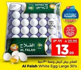 بيض ابيض كبير 30 حبه الفلاح