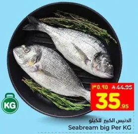 الدنيس الكبير للكيلو