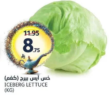 خس ايس بيرج (كغم)