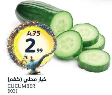 خيار محلي (كغم)