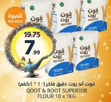 قوت اند روت دقيق فاخر (10 * 1 كجم)