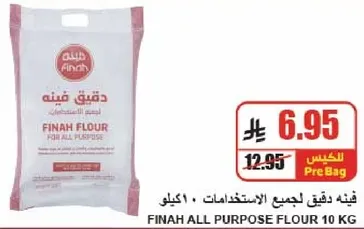 دقيق فني لجميع الاستخدامات ١٠ كيلو