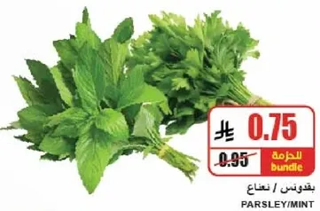 باقه من البقدونس والنعناع.