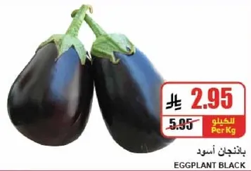 باذنجان اسود