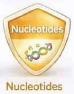 النيوكليوتيدات