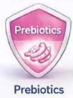 بريبايوتيك