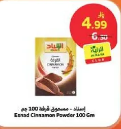 Esnad Cinnamon Powder 100 Gm