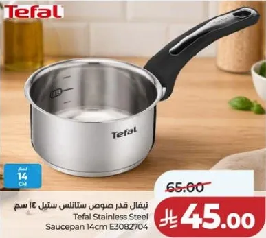 تيفال قدر مصنوعه من الفولاذ المقاوم للصدا 14 سم