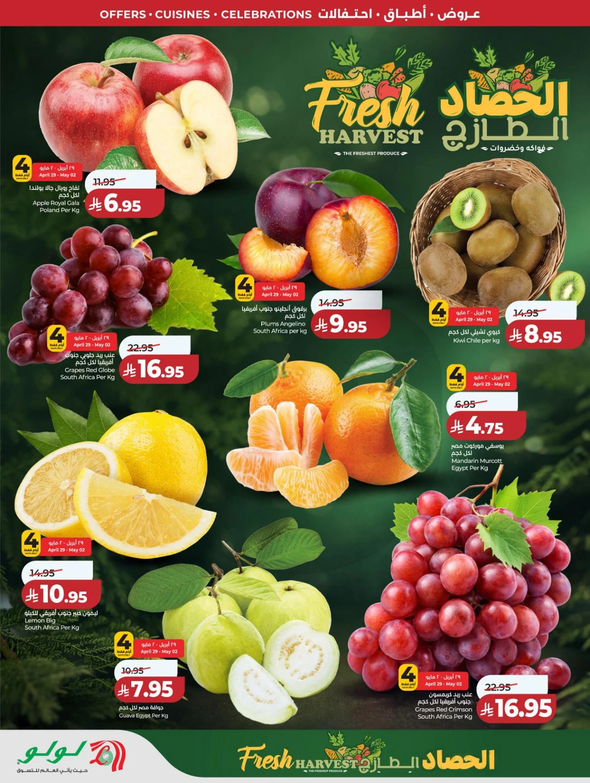 عالم المأكولات - صفحة 38