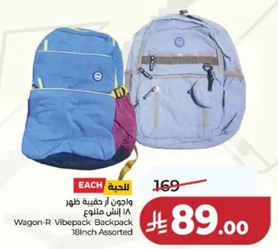 واجون ار حقيبه ظهر 18 انش متنوع