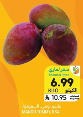 مانجو تومي، سعودي.