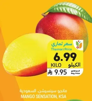 مانجو سينساسيون، السعوديه.