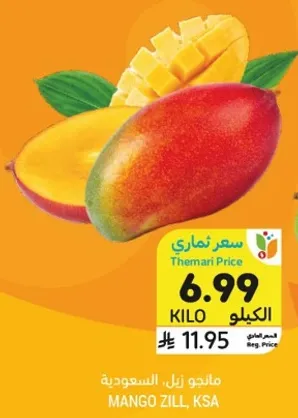 مانجو زيل من السعوديه.