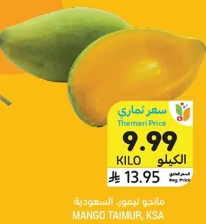 مانجو تيمور. السعوديه.