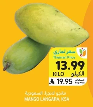 مانجو لانغارا، السعوديه.