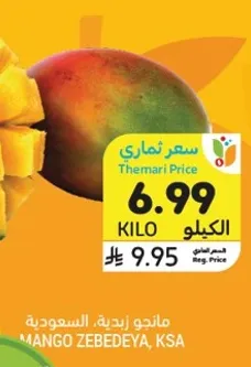 مانجو زيديه، السعوديه