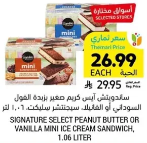 ساندويتش ايس كريم صغير بزبده الفول السوداني او الفانيليا، 1.06 لتر