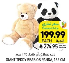 دب عملاق او باندا، 135 سم