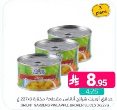 Orient Gardens Pineapple Broken Slices 3x227g