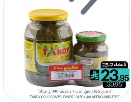 تاندي قلو د ورق عنب + جلابينو 340 غ مجانا