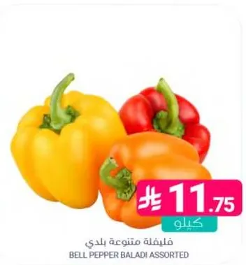 فليفله متنوعه بلدي