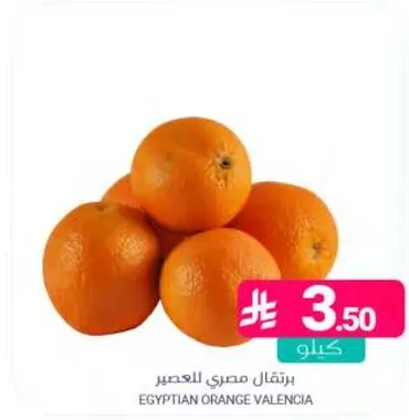 برتقال مصري للعصير