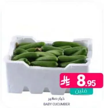 خيار صغير