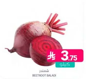 شمندر طازج وعضوي.