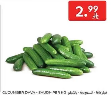 خيار دافا - السعوديه - لكل كيلو