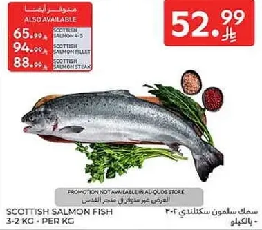 سمك سلمون سكوتلندي 3-2 كغ لكل كغ